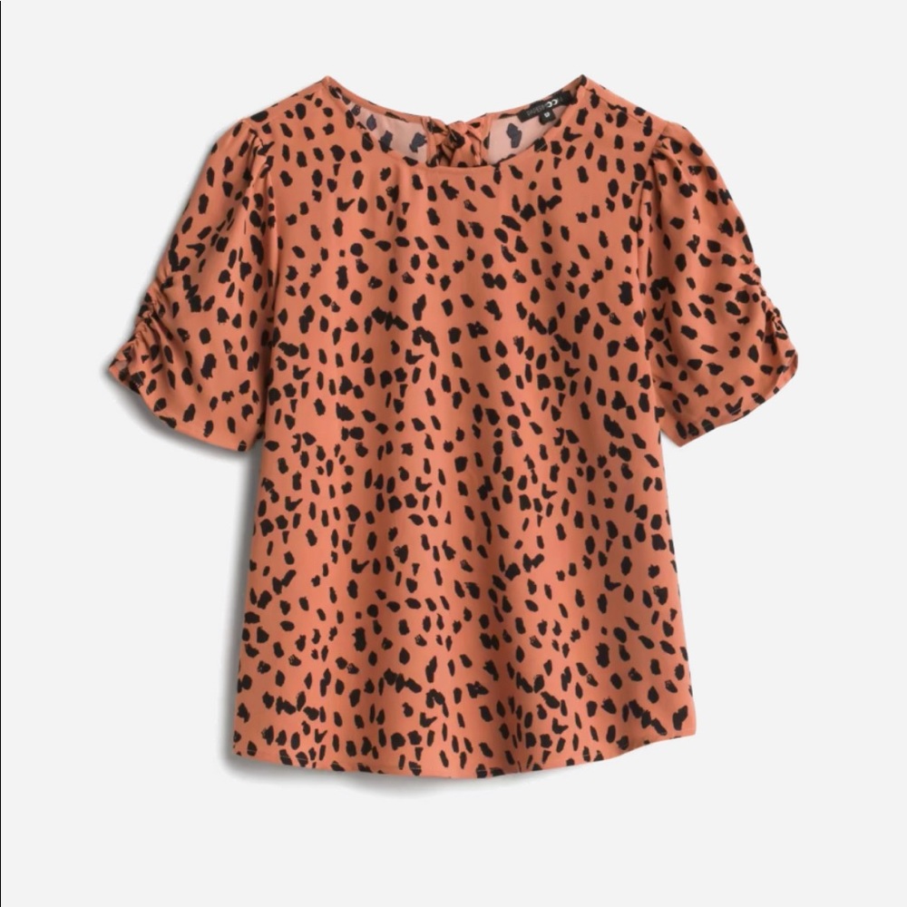 Ruched Sleeve Blouse